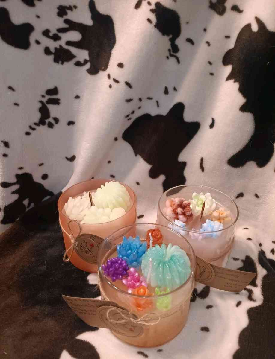 candles wax melts and car air fresheners