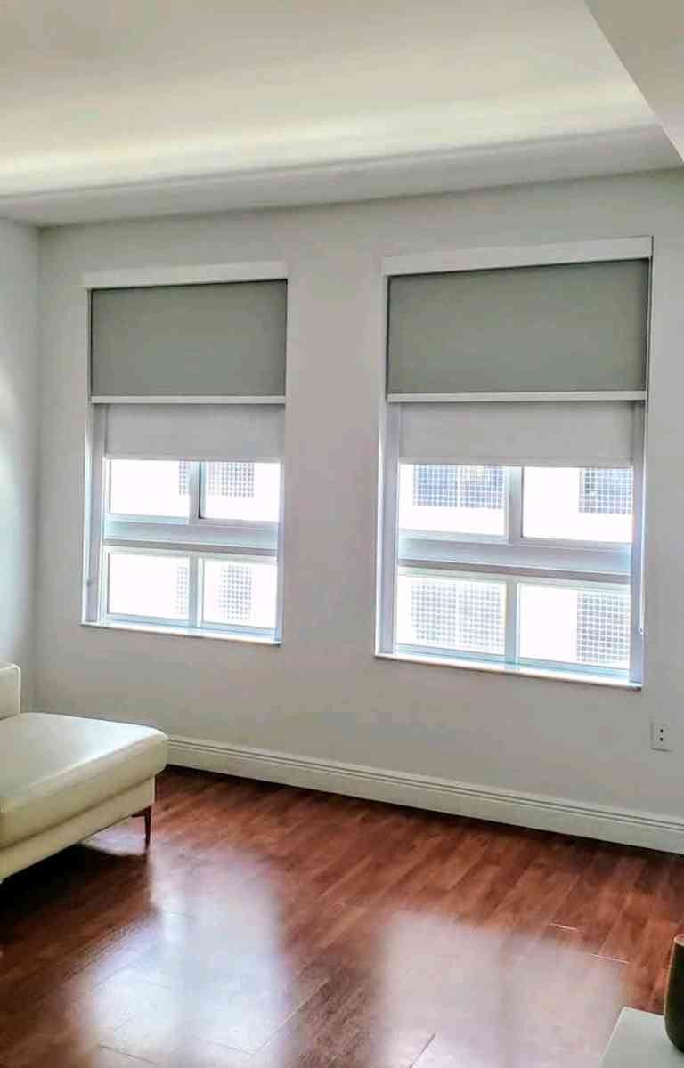 zebra Shades Roller shades screen o blackout