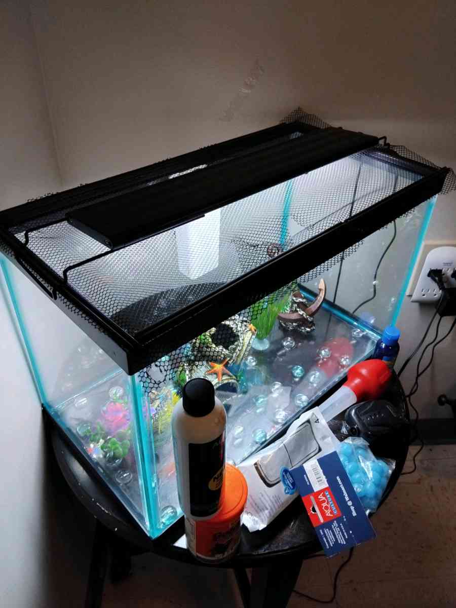 10 gallon fish tank and a goldfish kit with everything
