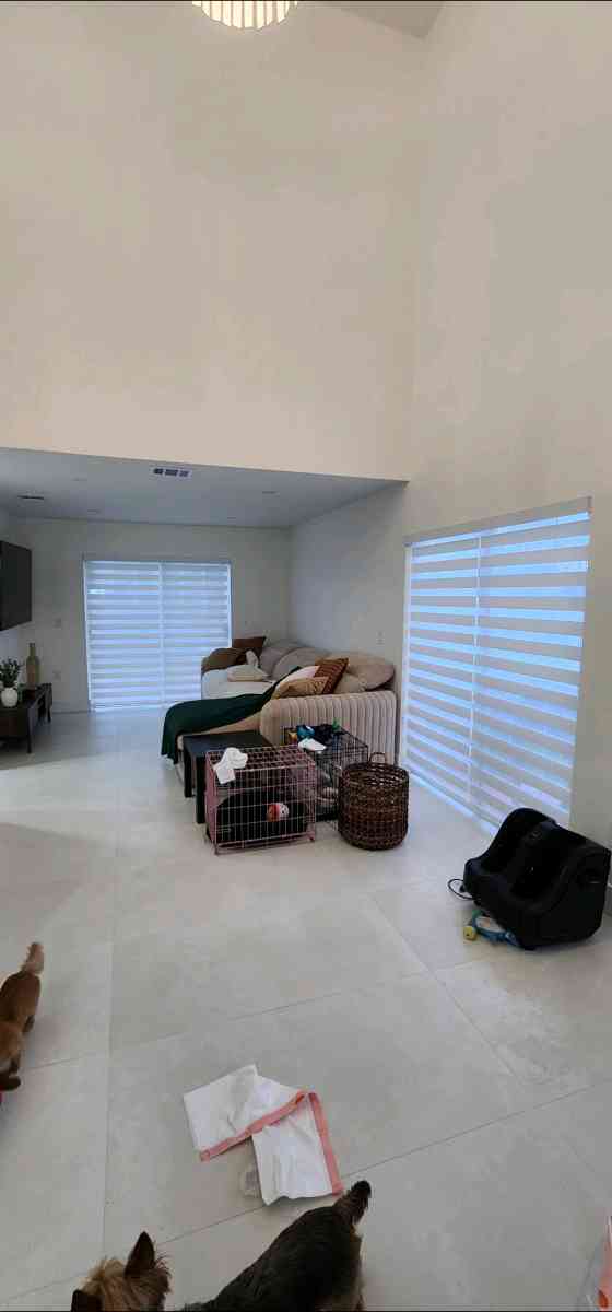 zebra Shades lights filtering o roller shades blackout o scr