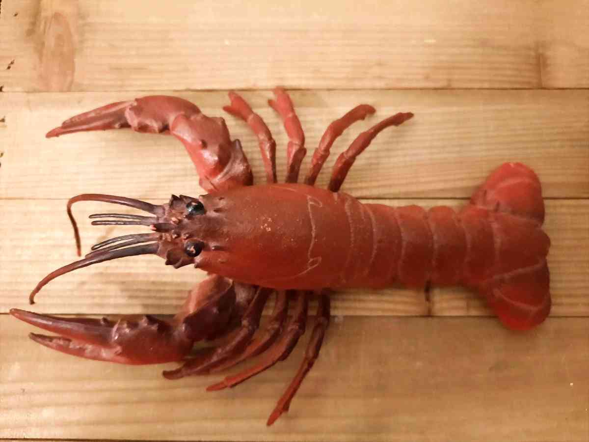 Realistic Rubber Lobster Toy Prop Marine Animal Lobster Toy