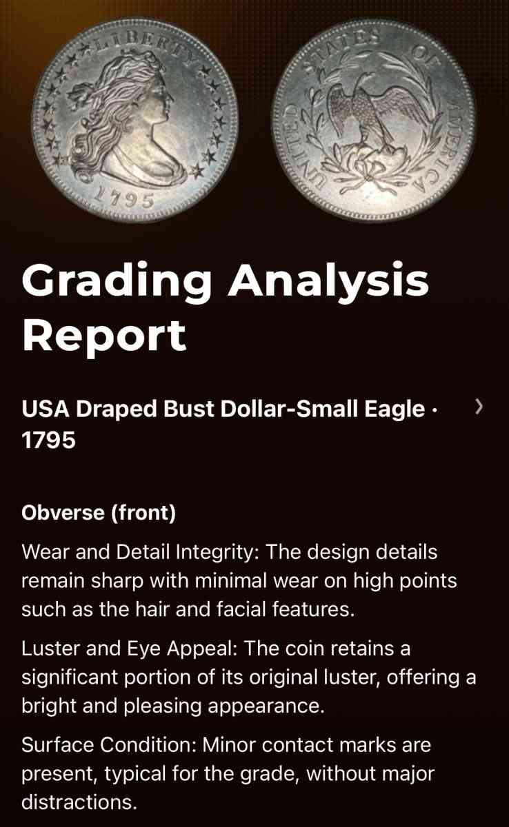 1795 Draped Bust Small Eagle and 1877CC Seated Liberty - Kissimmee, Florida - FleaMarketBay