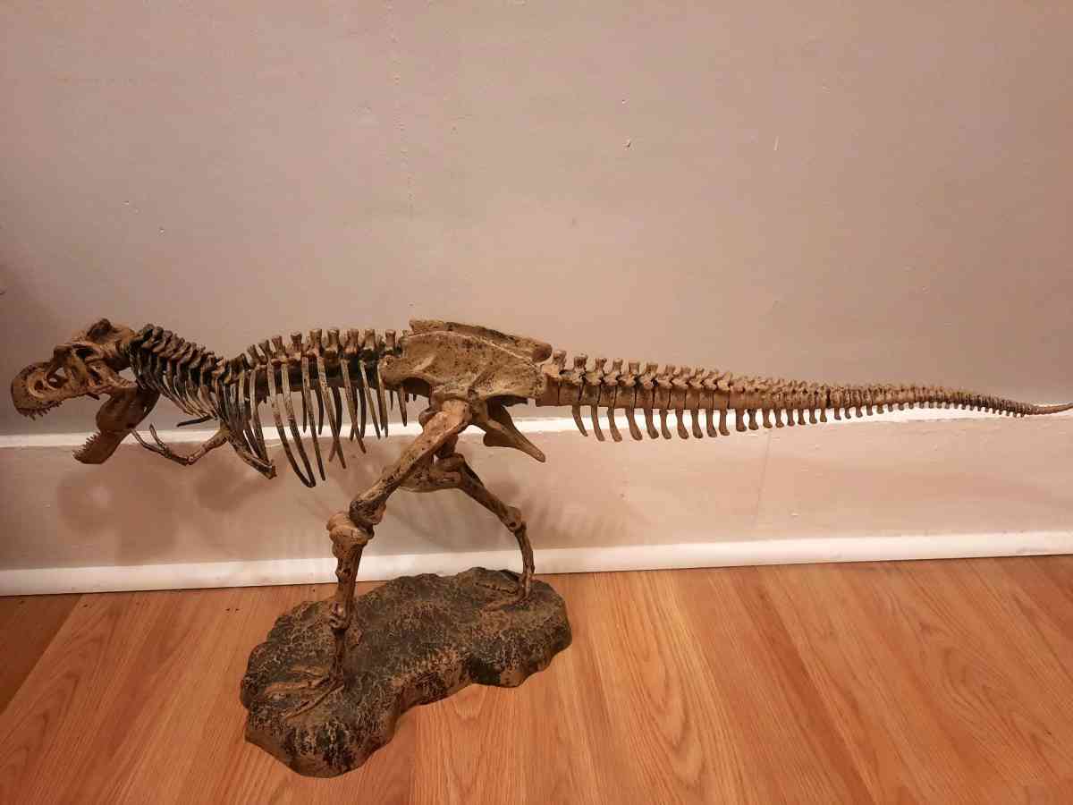 Tyrannosaurus Rex TRex model skeleton puzzle science