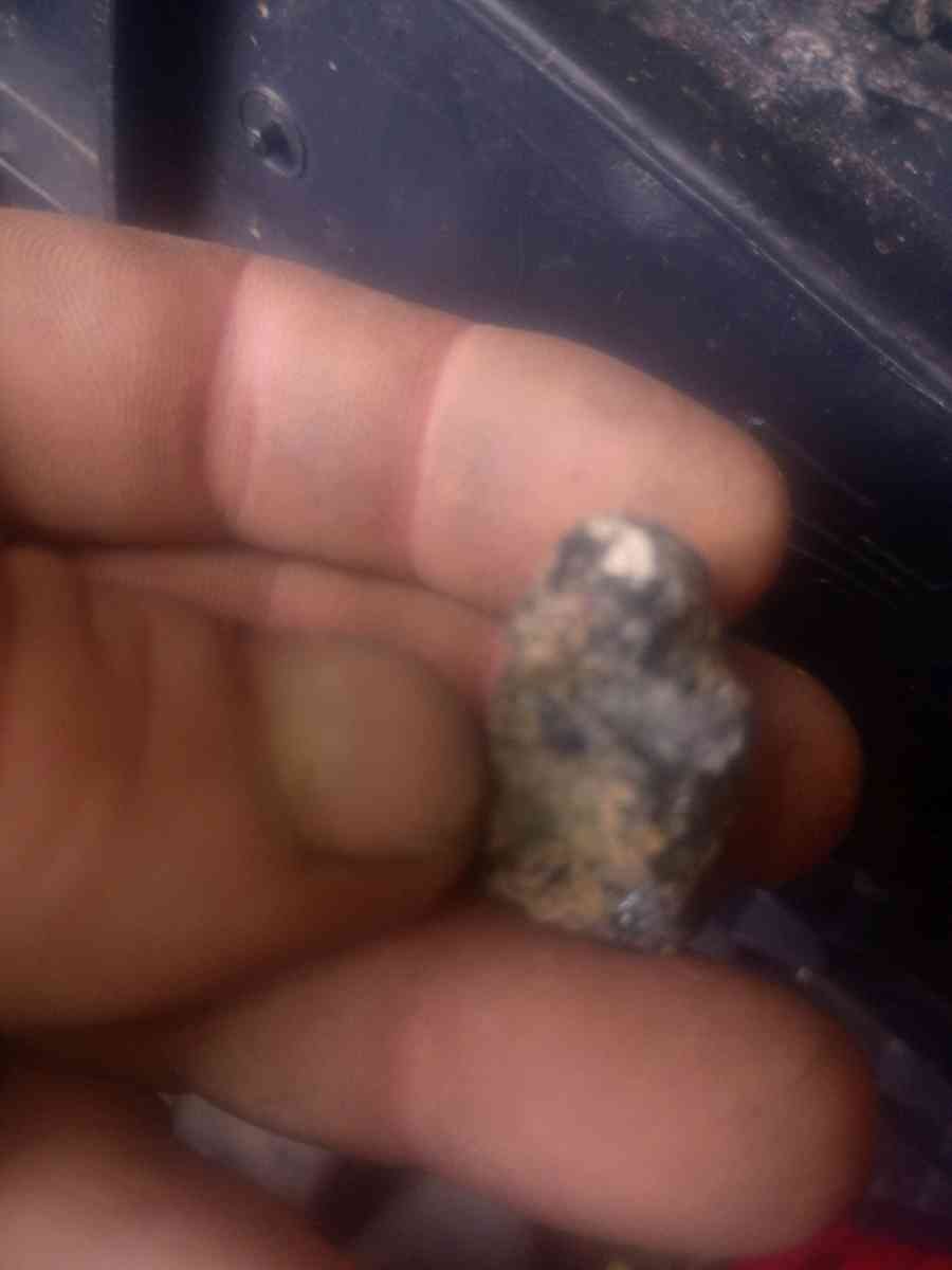 lil metal composite pet creatures that move  an change shape