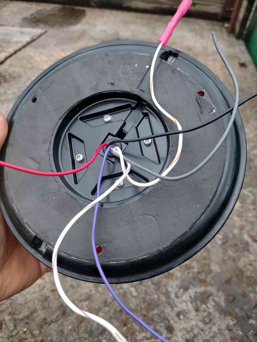 whelen l31 top light