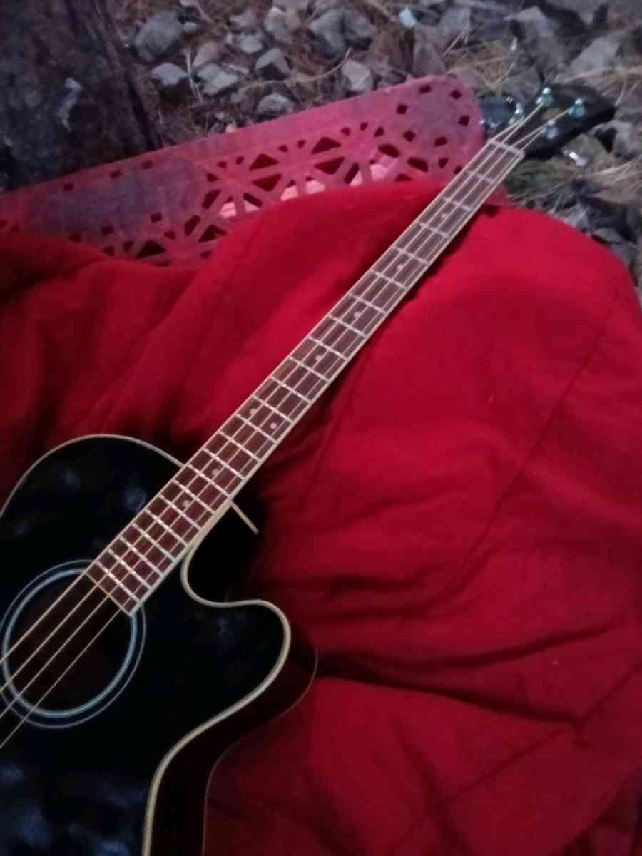 acoustic electric guitar bass
