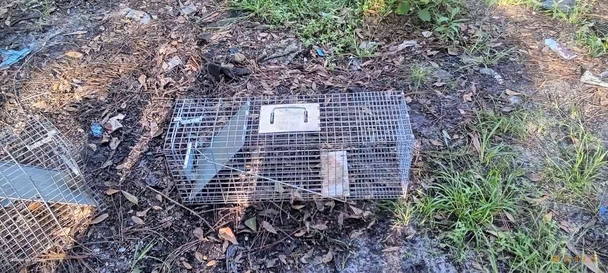 two medium size animal traps