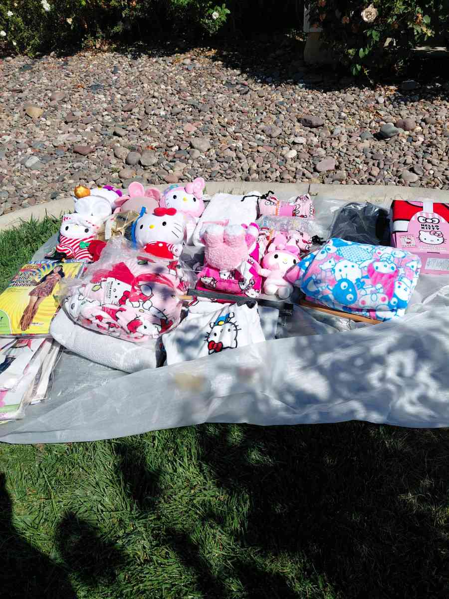 yard Sale at 29800 Boathouse cv Menifee ca September 7 at 9 - Menifee, California - FleaMarketBay