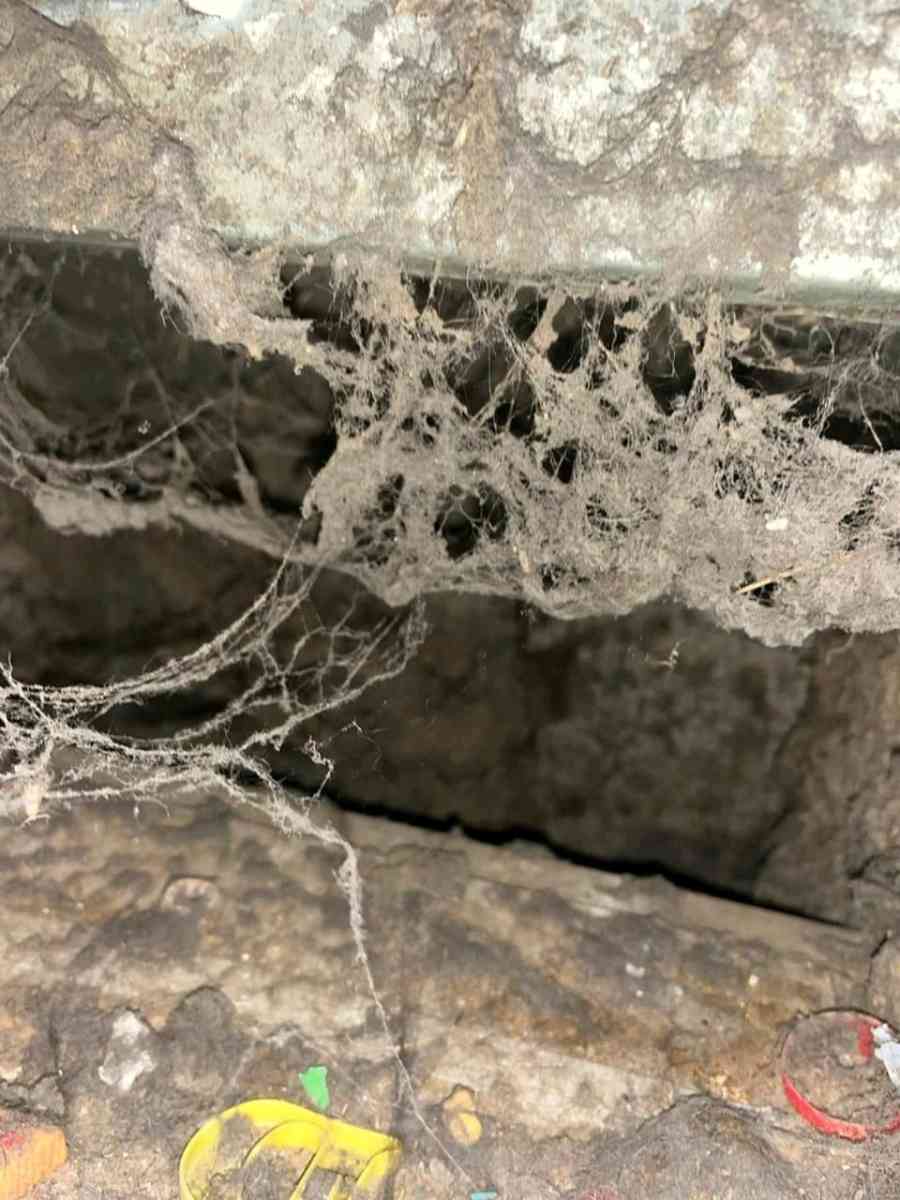 Duct Vent and Dryer Vent Cleaning Services - Charleston, South Carolina - FleaMarketBay