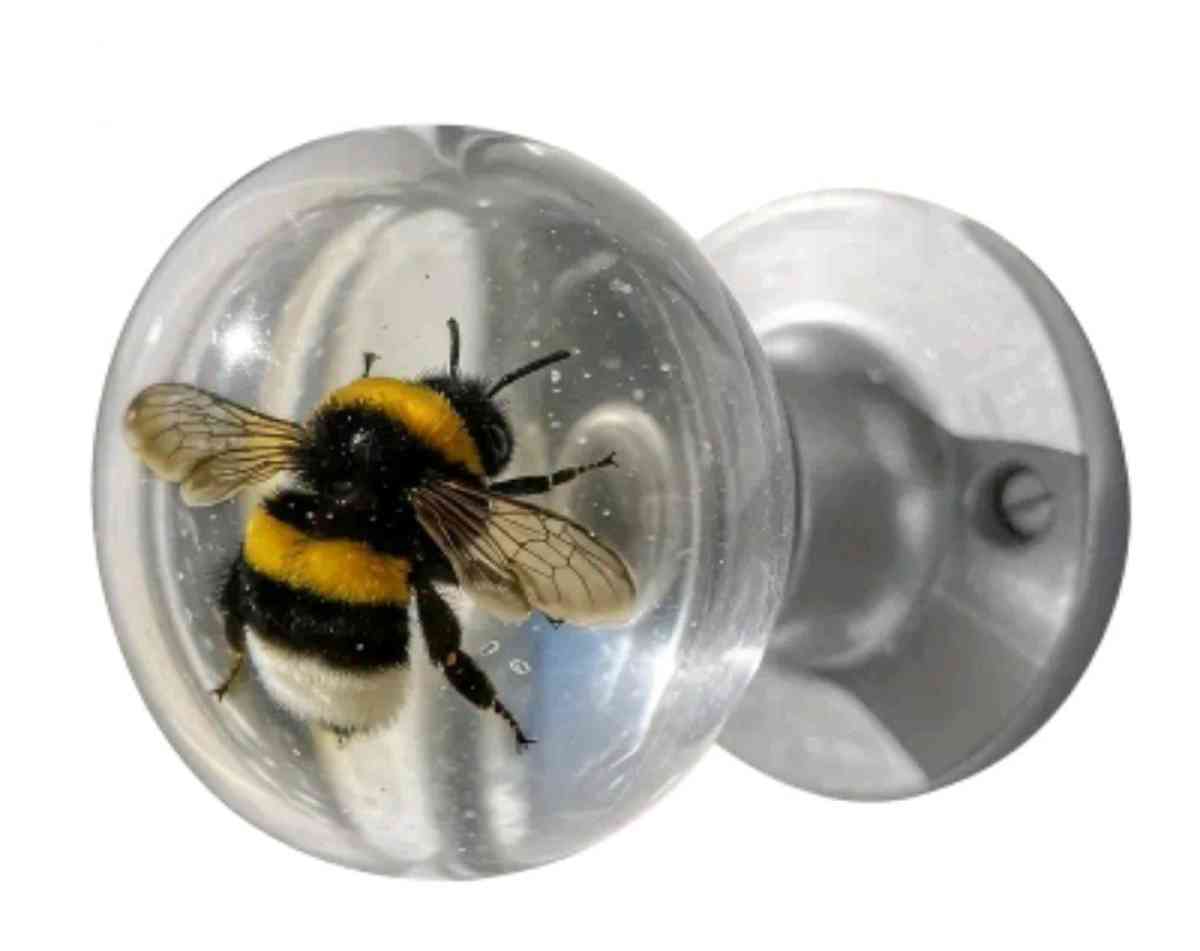 Doorknobs for cabinets and other areas Turtle and fish sold