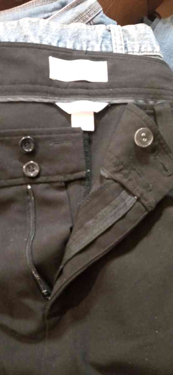 Womens Plus Size Dress Slacks 24