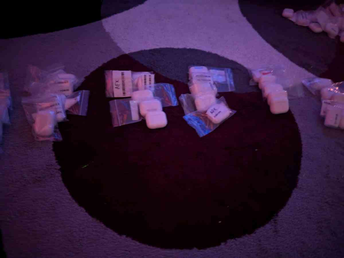 Apple Max headphones Apple earbuds