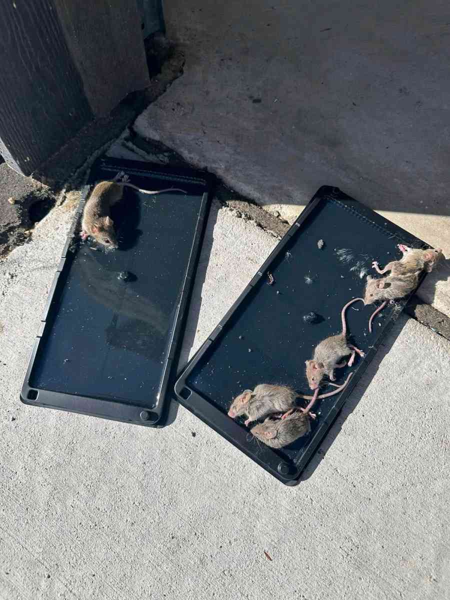 duct and vent cleaning September special discount - Aiken, South Carolina - FleaMarketBay