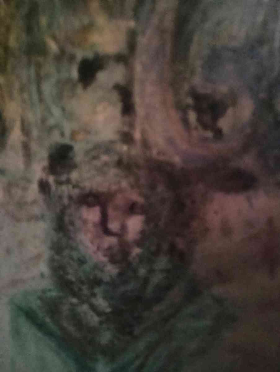 looking for art supplies