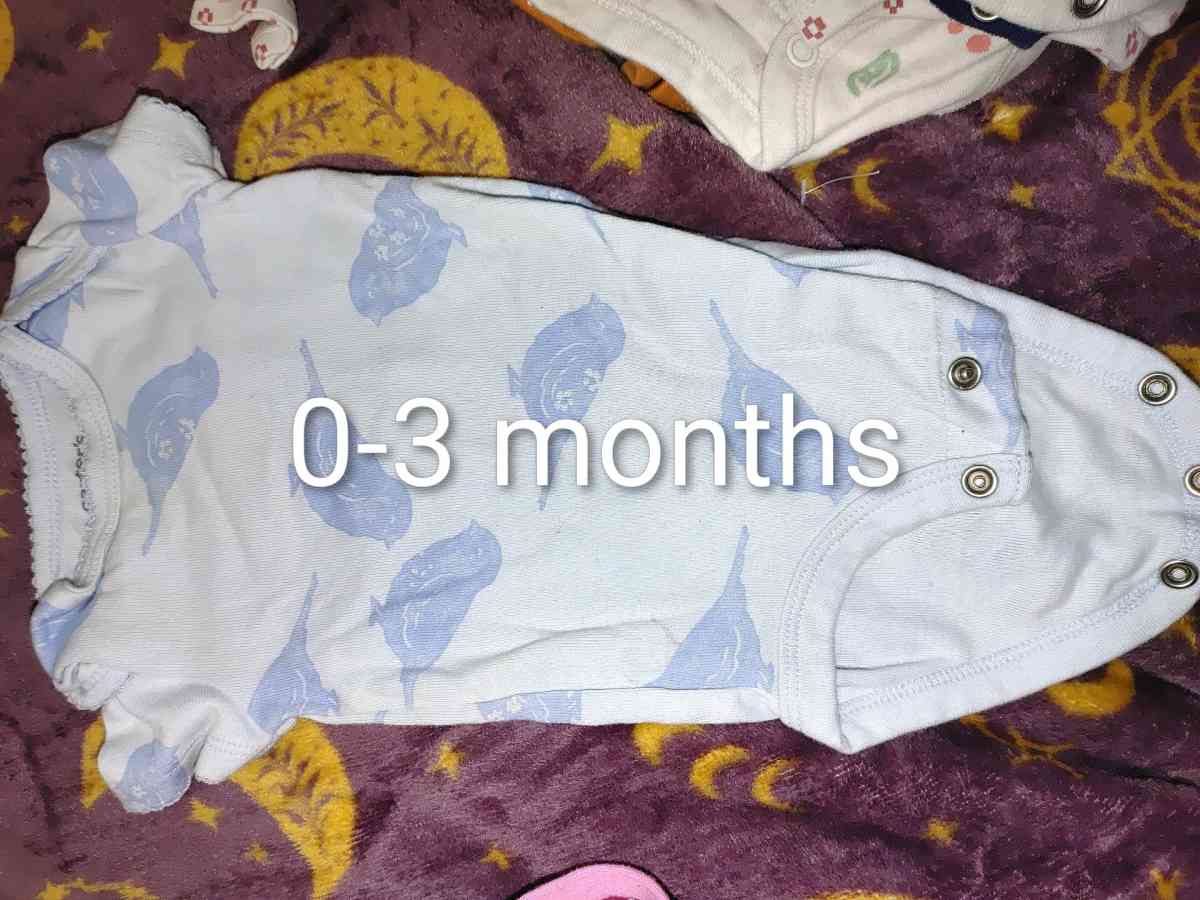 Carters infant girl onesies