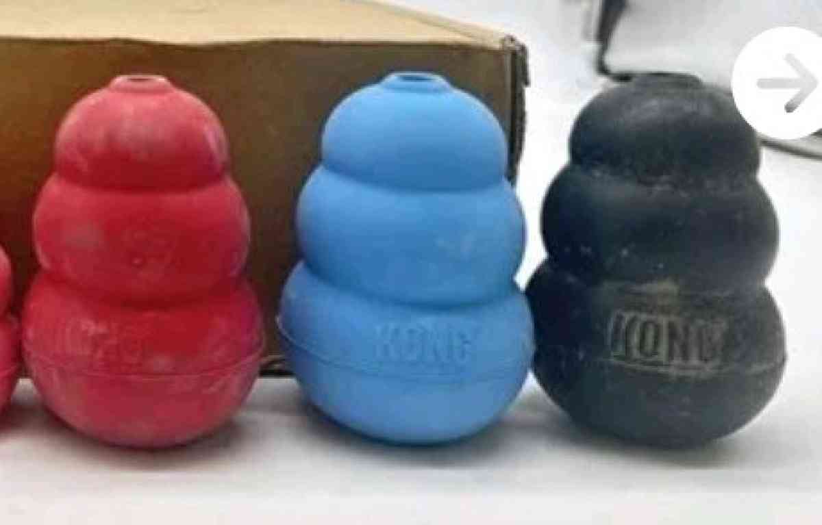 Kong dog toys