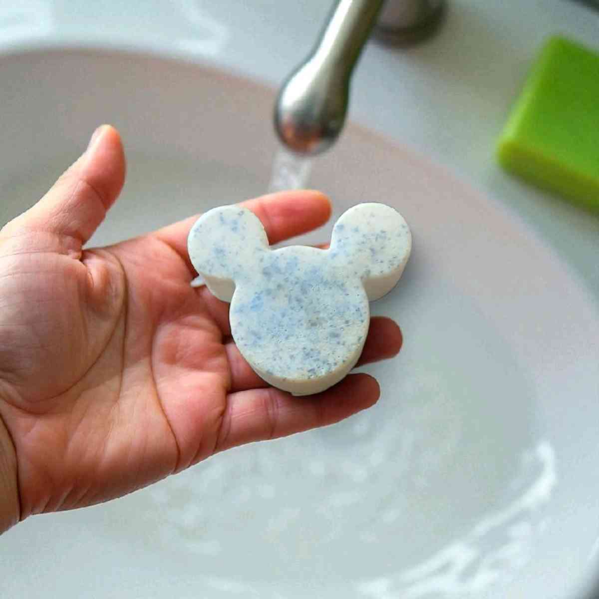 Tumeric and Ginger Soap Samples