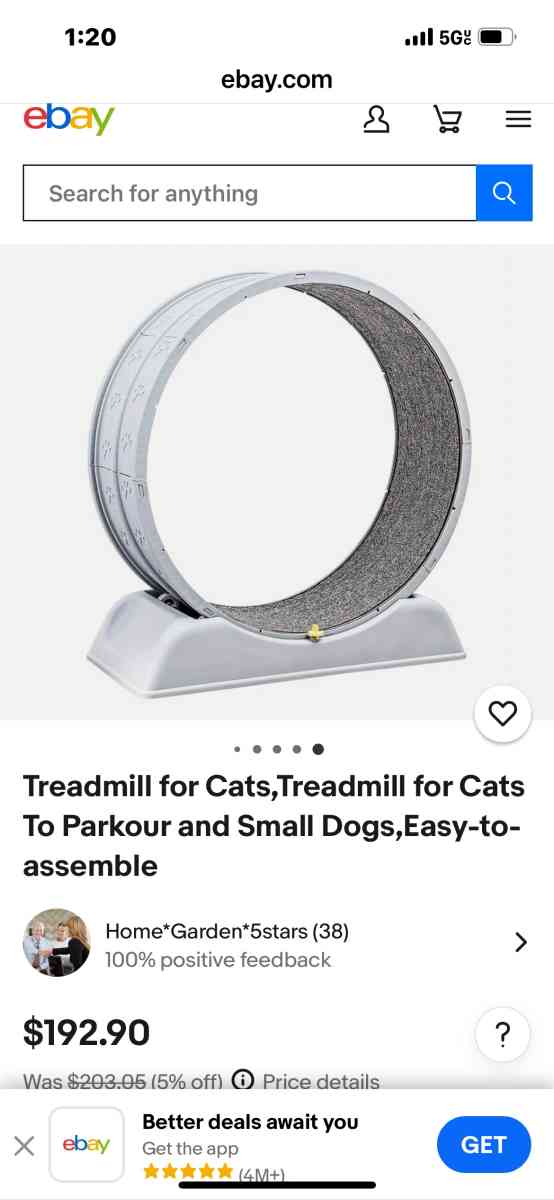 Cat Treadmill