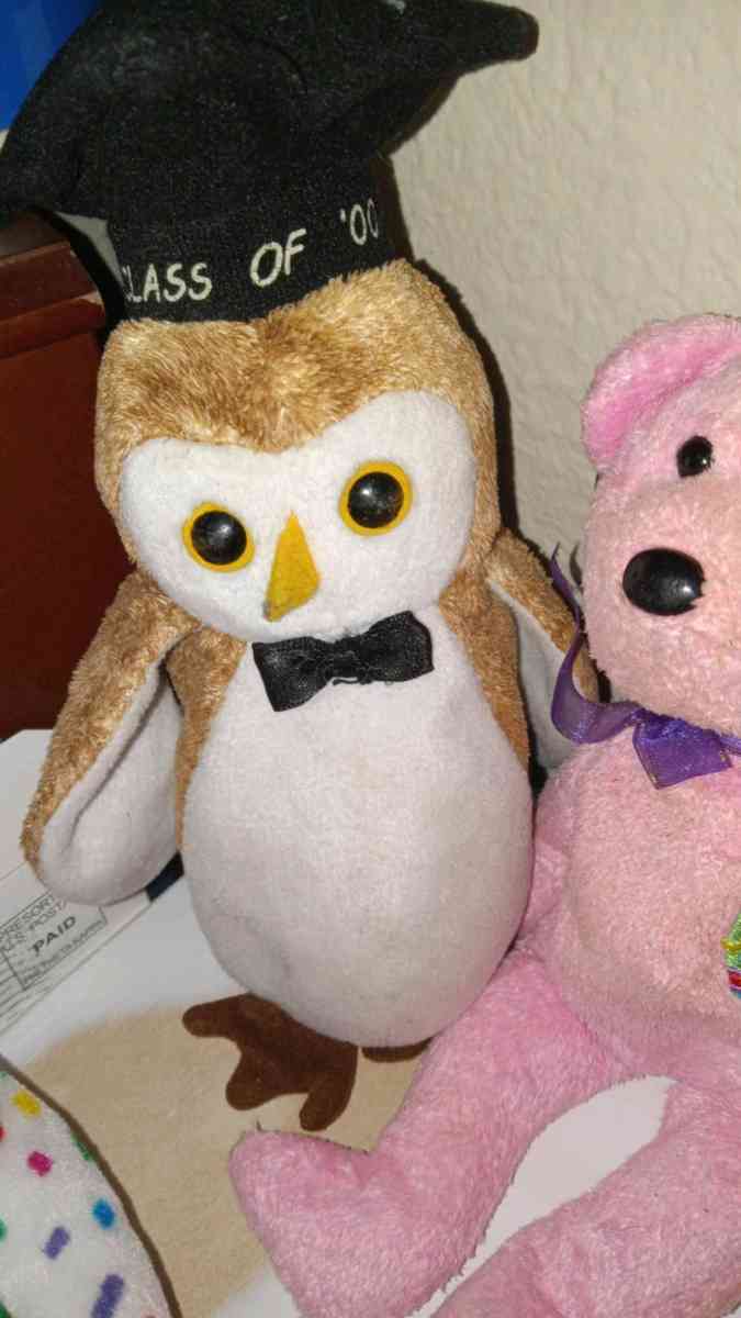 Rare and Valuable Beany Babies