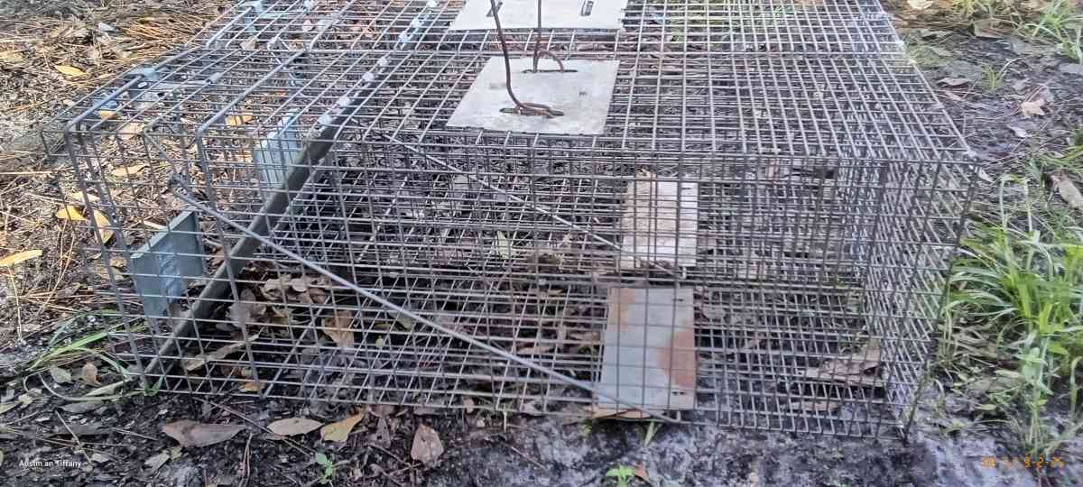 two medium size animal traps