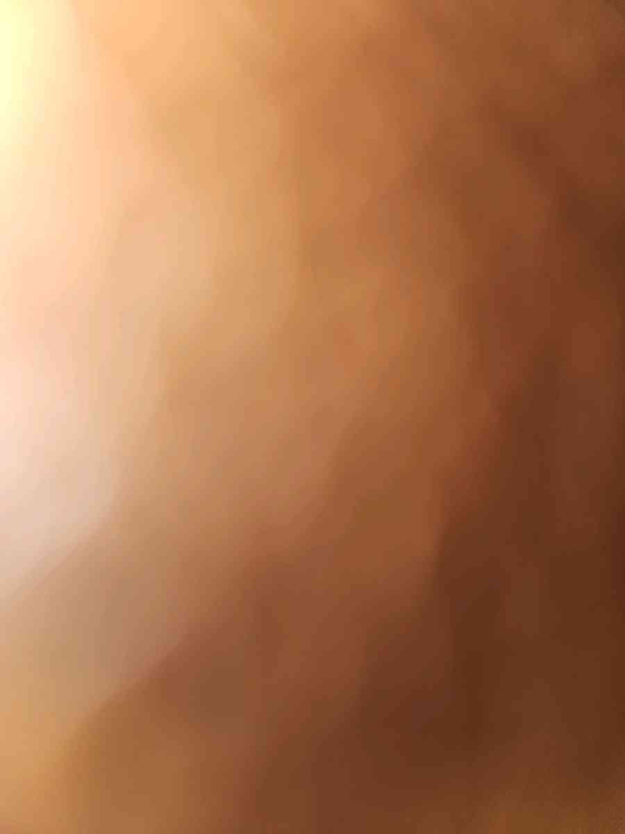 Orvis leather duffle bag