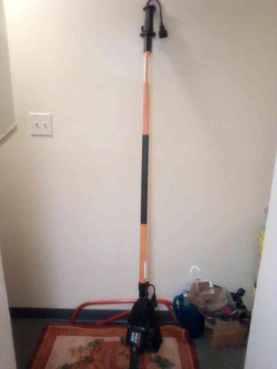 Remington pole saw
