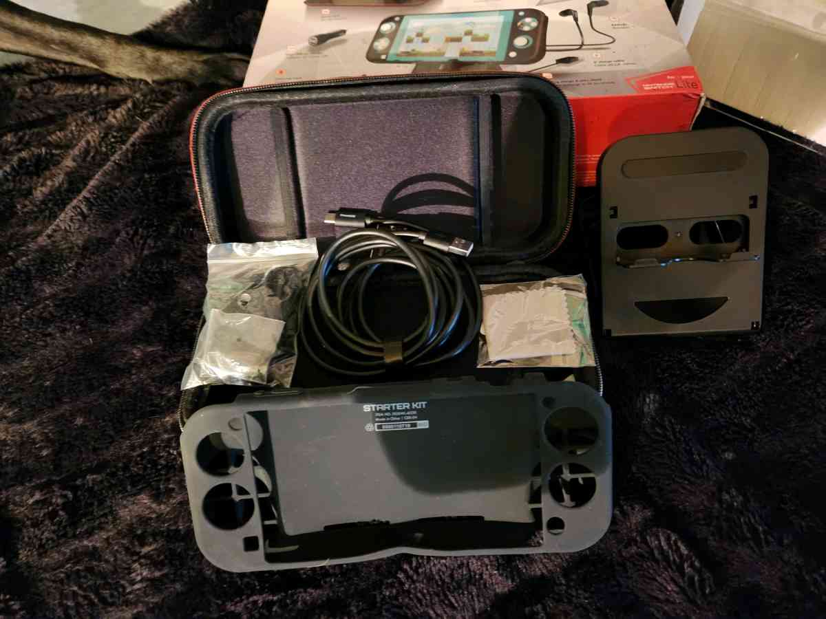 Nintendo Switch Lite accessories