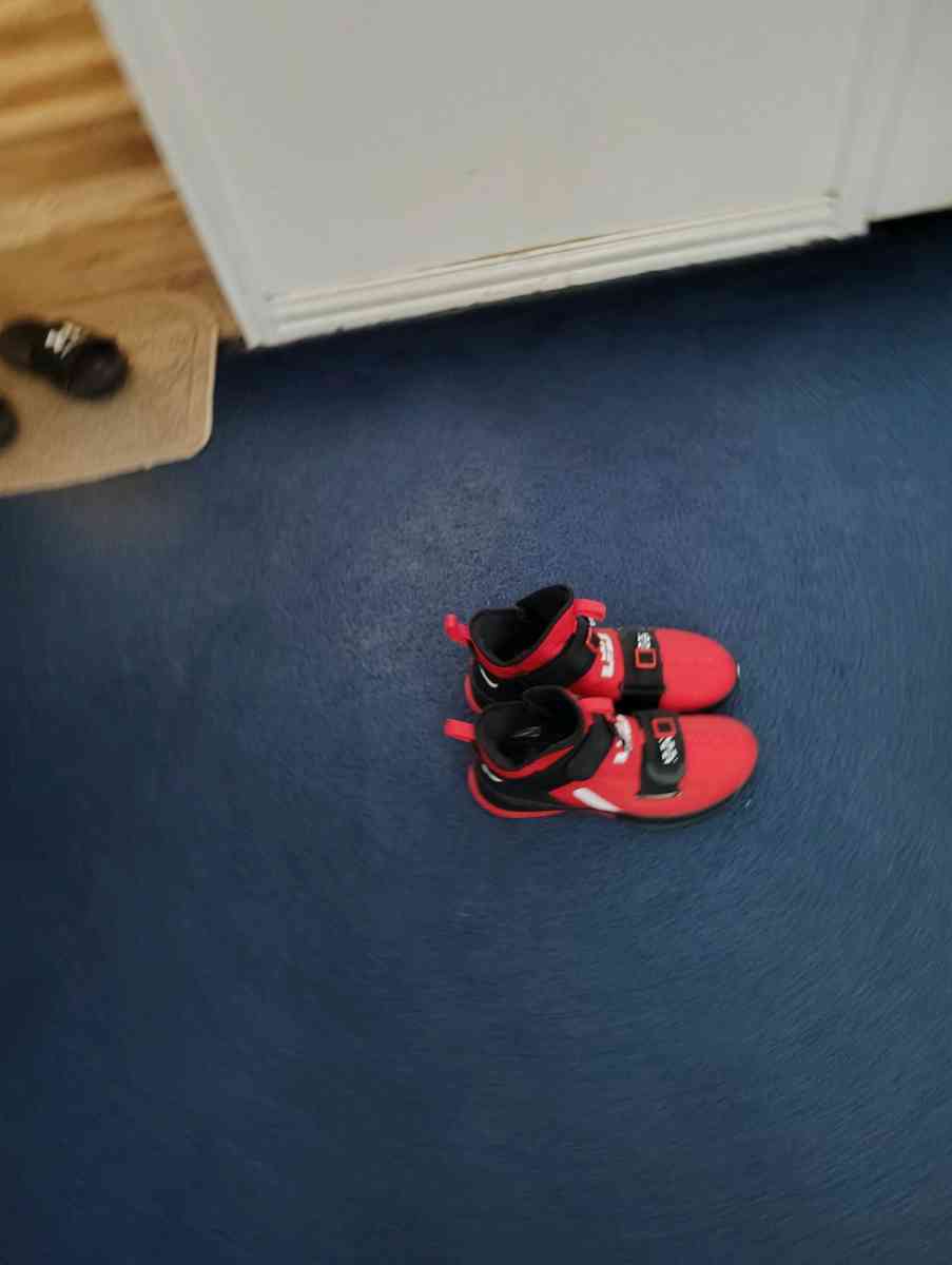 Nike LeBron shoes - Mckinney, Texas - FleaMarketBay