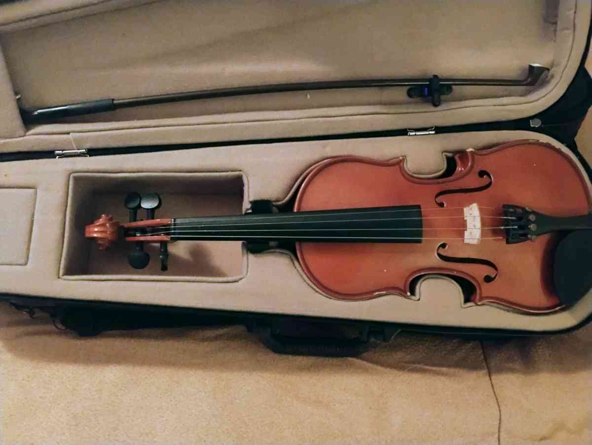 violins Cecilia an Palitino