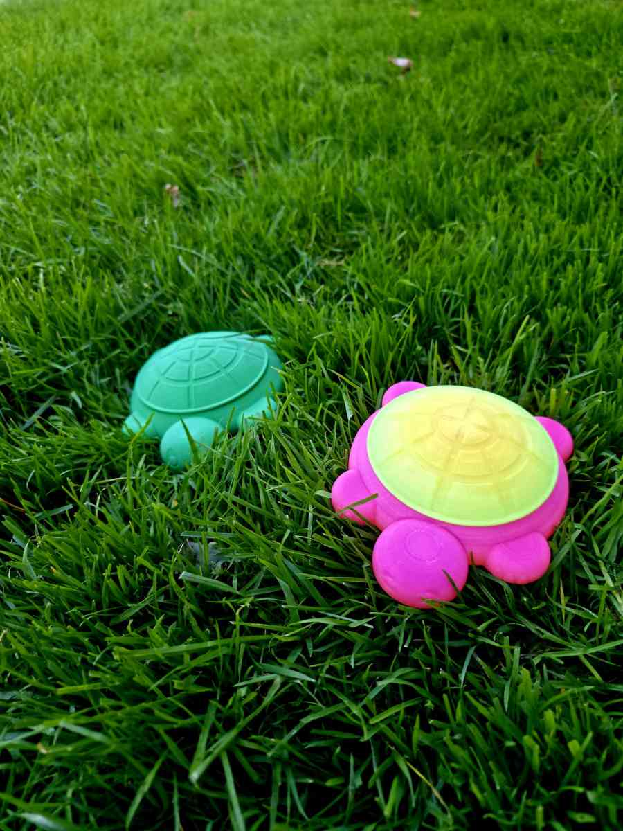 Mini Desktop Turtle Sandboxes
