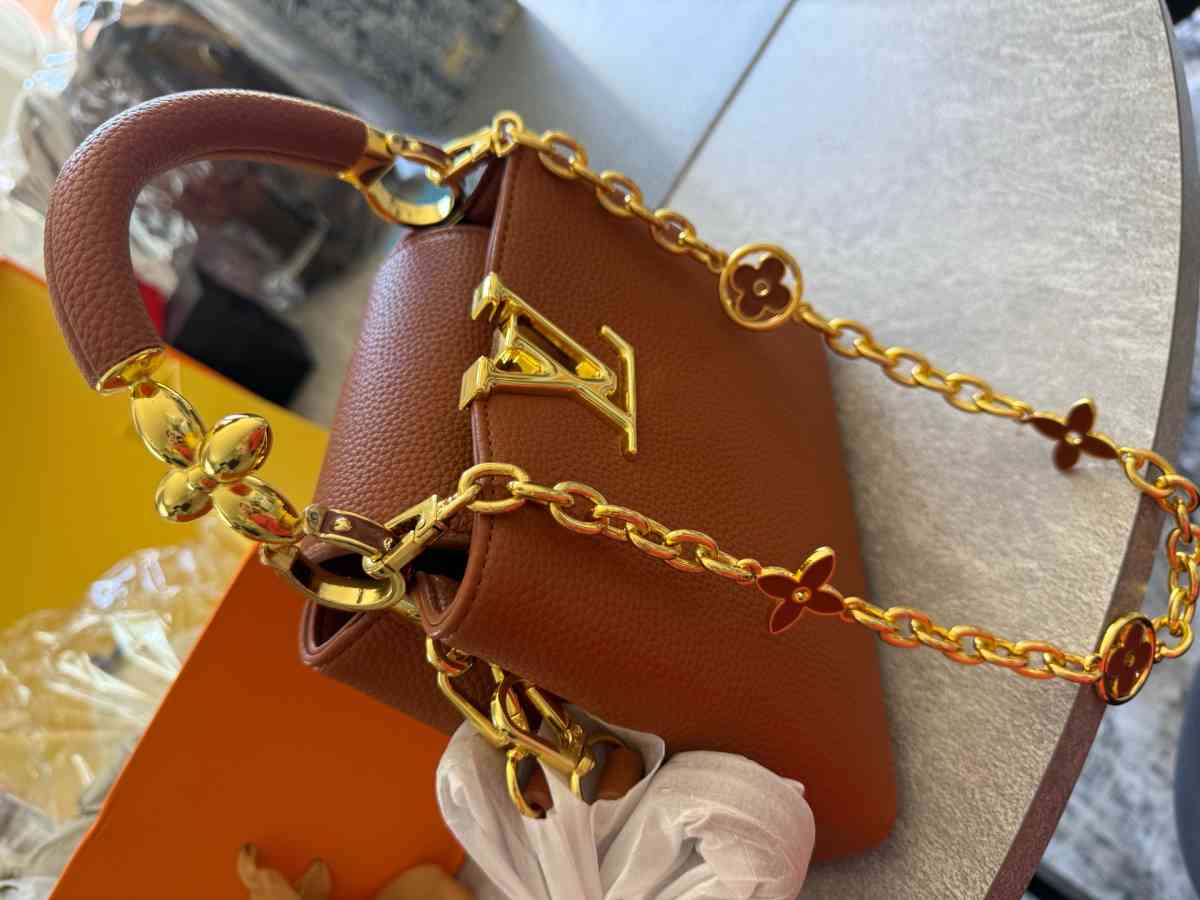 LV Purse
