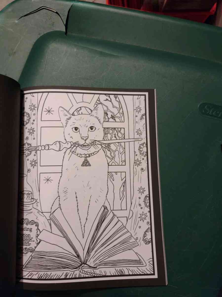 Vampires love at first bite coloring books - Gary, Indiana - FleaMarketBay