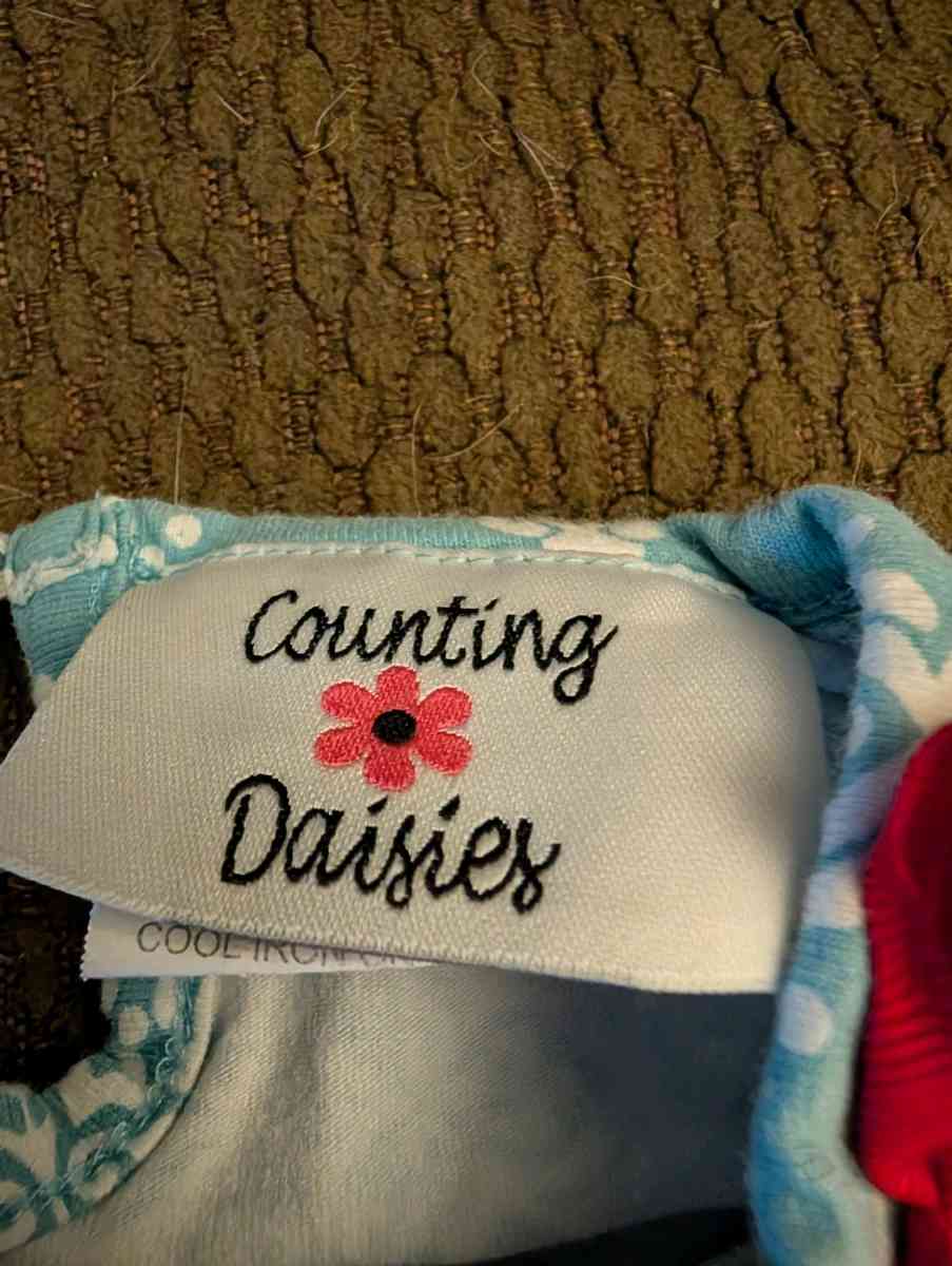 Winter Christmas baby dress