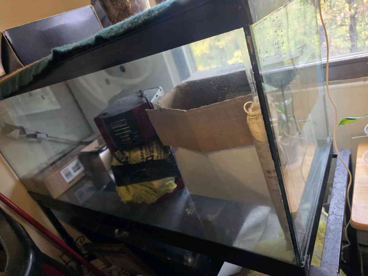 75 Gallon Reptile Tank - Jaffrey, New Hampshire - FleaMarketBay