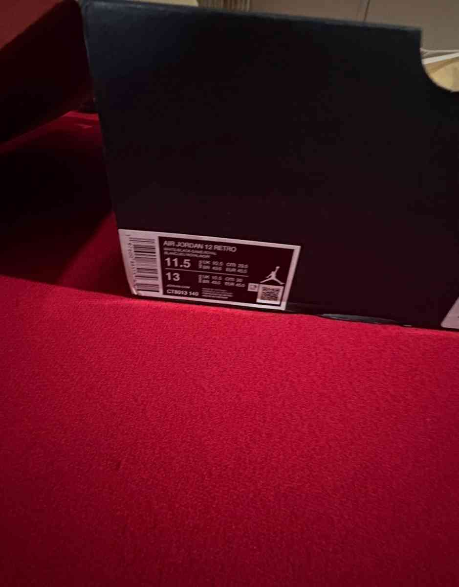 Air Jordan 12