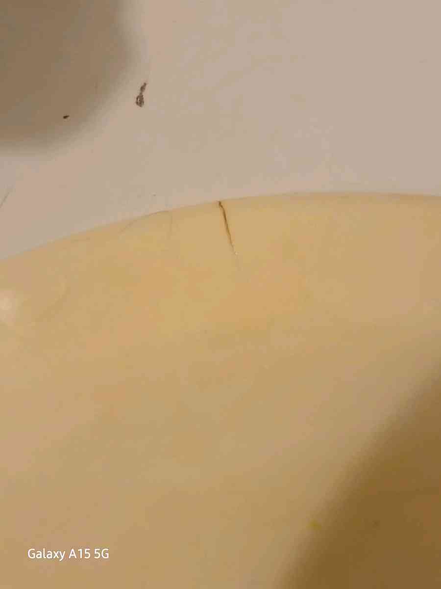 Vintage McCoy picture and bowl