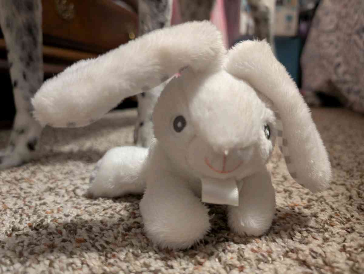 Plush rabbit pacifier holder