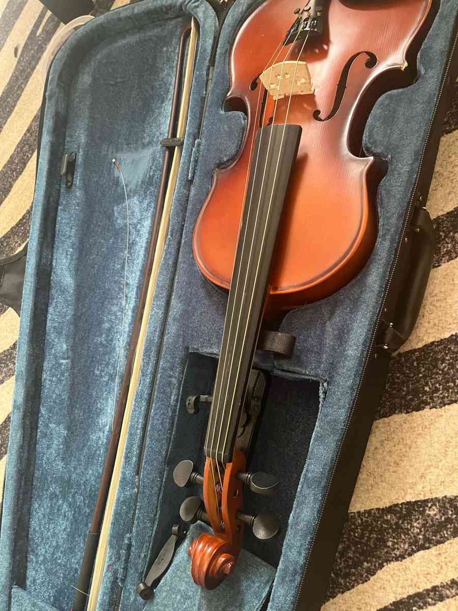 Viola