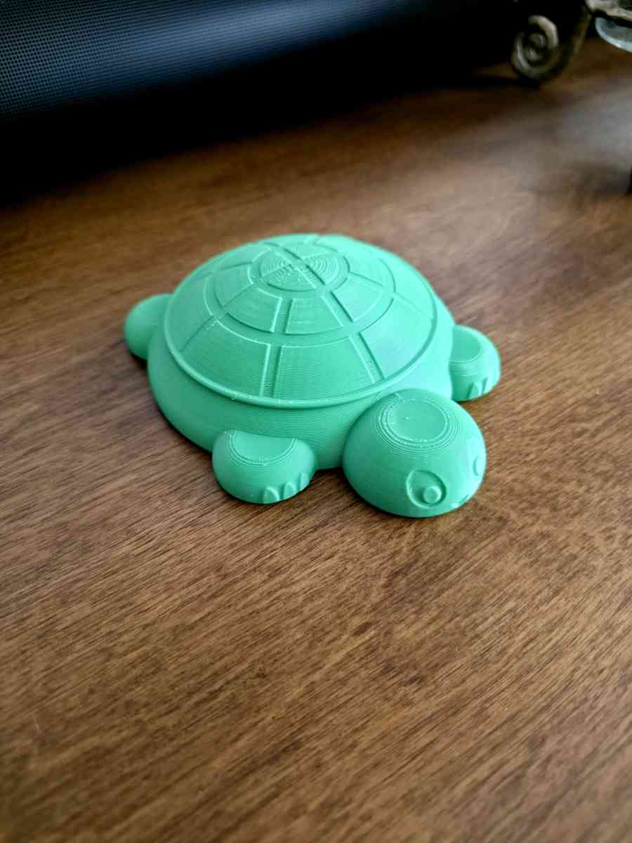 Mini Desktop Turtle Sandboxes