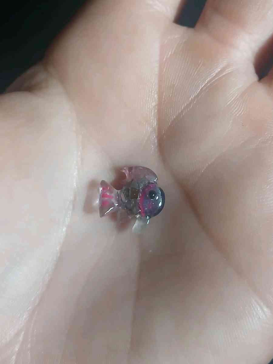 Handmade Rainbow Fish 4