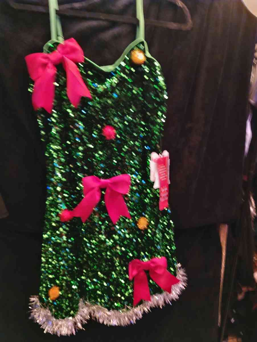 Brand New Christmas Dress