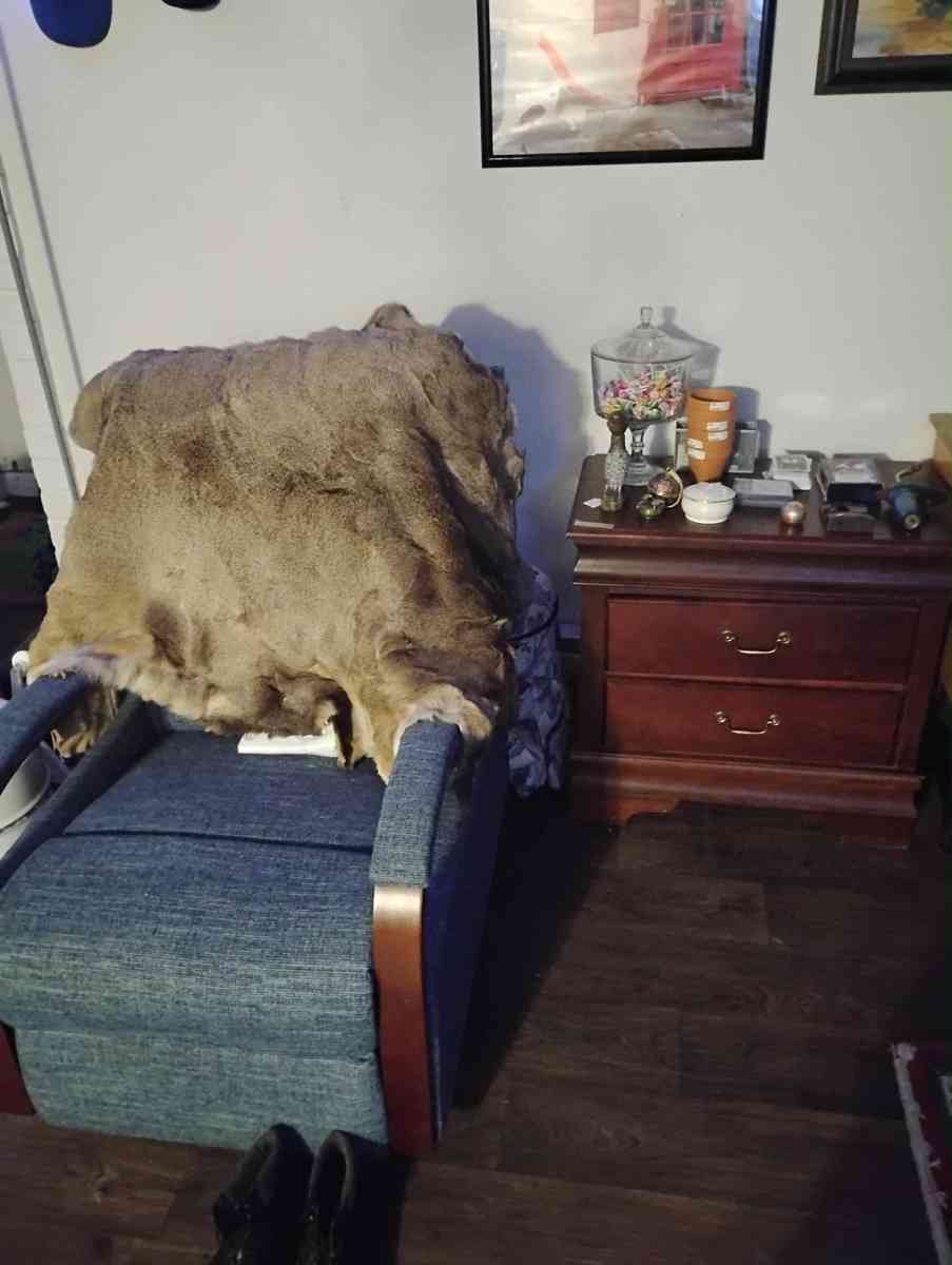 all price items Sunday from 2 to 7pm