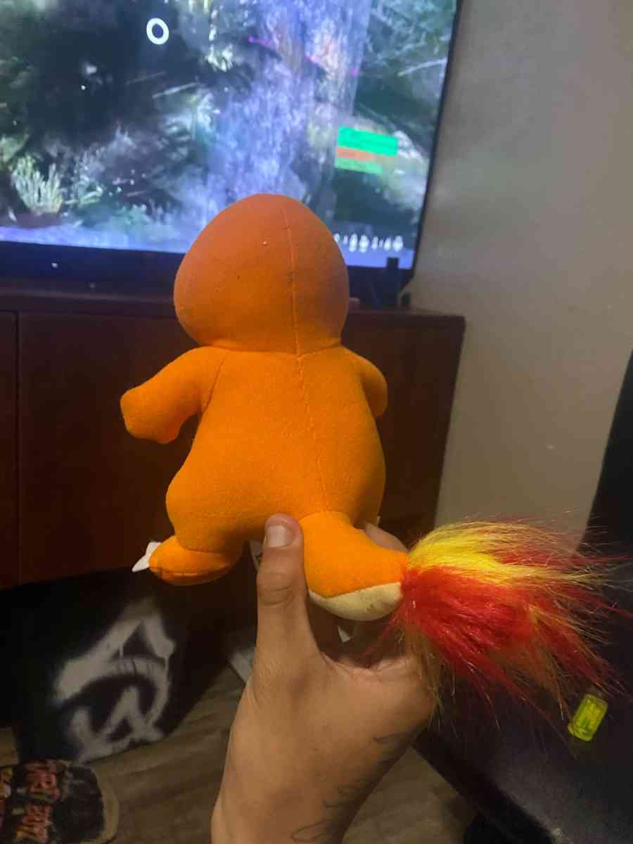 Charmander - San Antonio, Texas - FleaMarketBay
