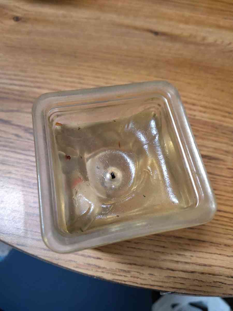 clear jelly candle with small white animals in the candle - Saint Joseph, Missouri - FleaMarketBay