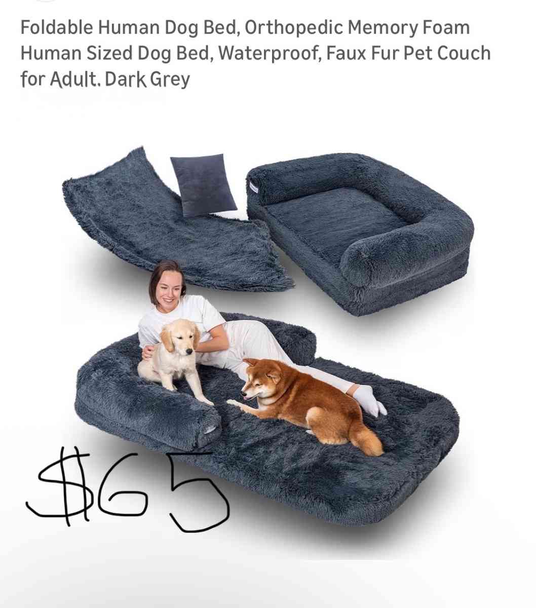 dog beds