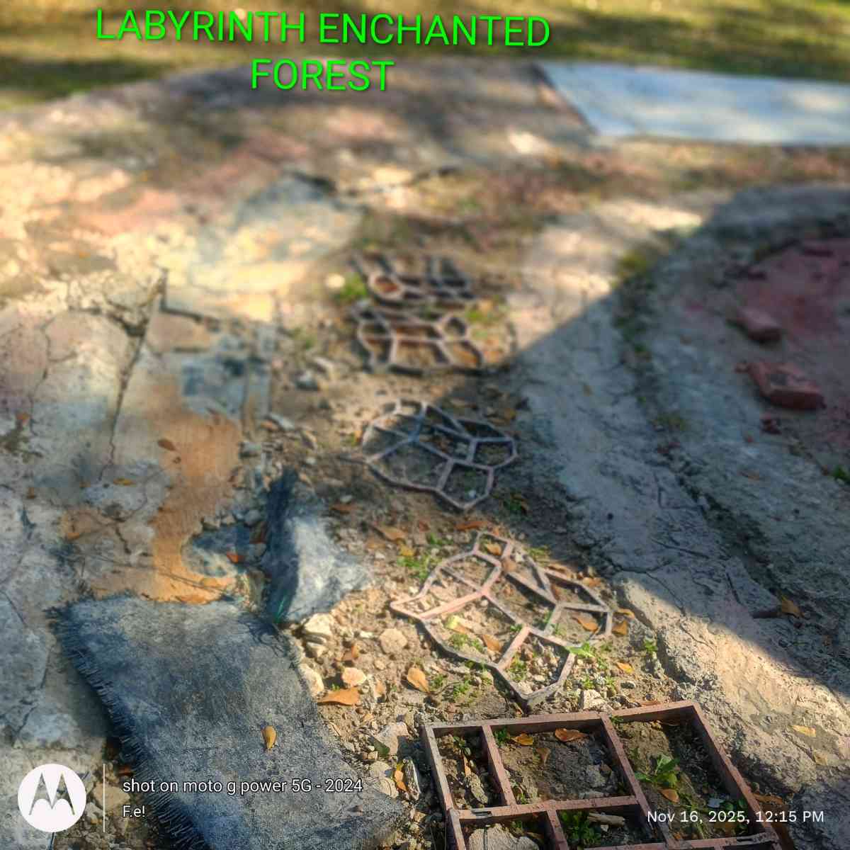 Retreat RanchStyle House w Forest Clearing Lot