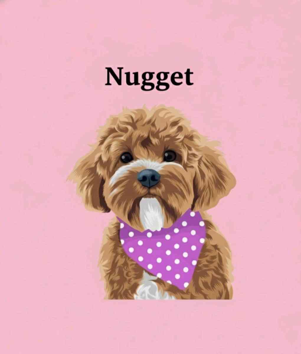 vector pet portraits - Nashville, Tennessee - FleaMarketBay