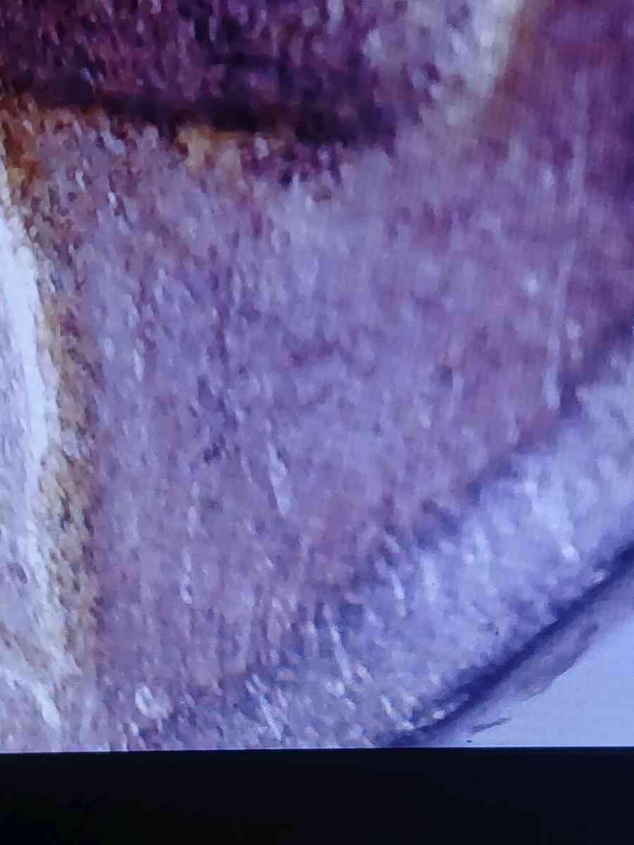 Buffalo Nickel with Die Clash no date - Bakersfield, California - FleaMarketBay