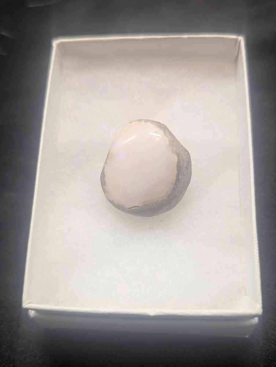 McKinley Minerals Featured Cabochon of the Day 12092025 - Spokane, Washington - FleaMarketBay