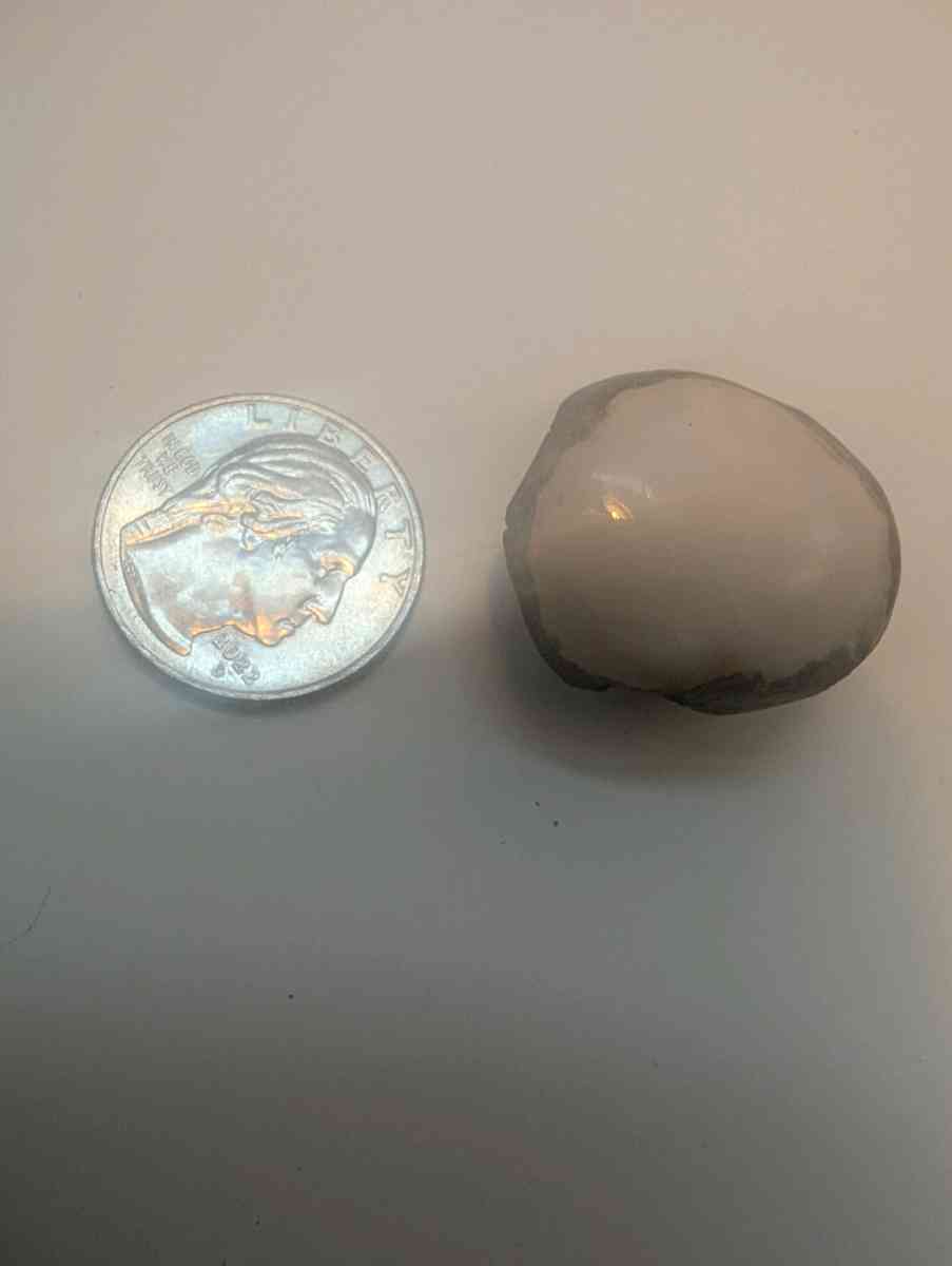 McKinley Minerals Featured Cabochon of the Day 12092025 - Spokane, Washington - FleaMarketBay